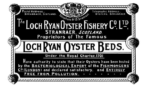 Loch Ryan oysters