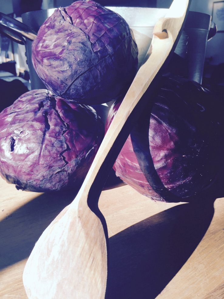 Red cabbage & Spoon