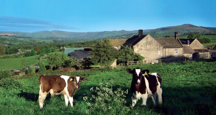 Hope Valley icecream